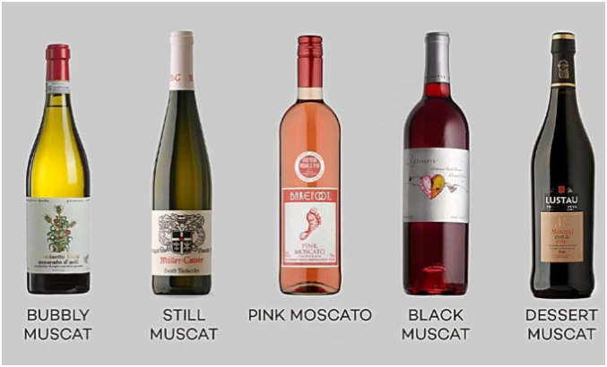 Is Moscato Sweet? – Everything You Need to Know About Moscato Wine