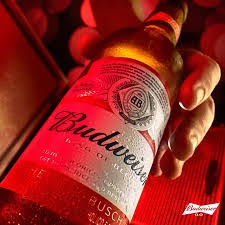 Budweiser Beer Price in Australia: Latest Update & Buying Guide